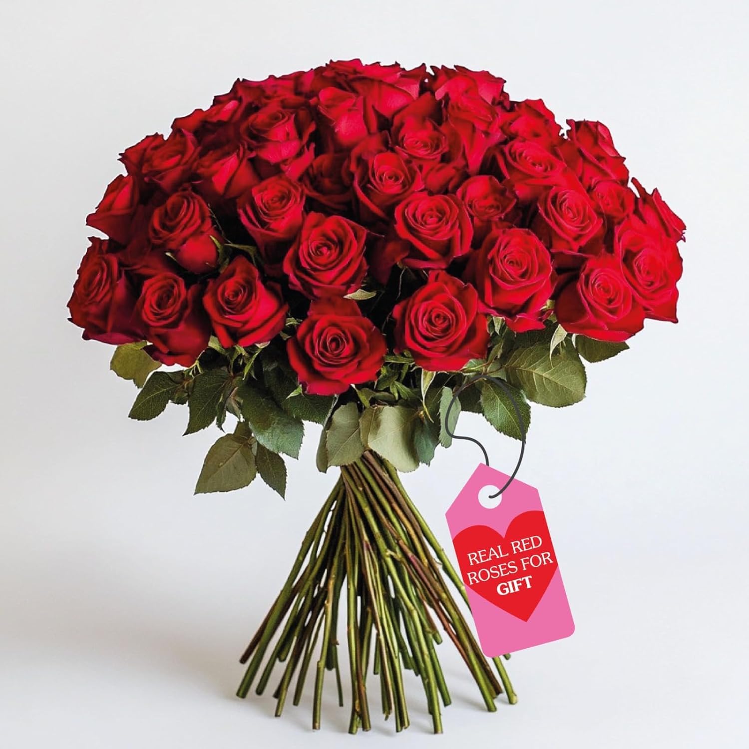 Rosas